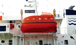 Gravity Hinge Type Davit & Electric winch